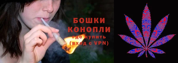 круглые Бородино