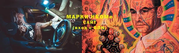 мдпв Богородск