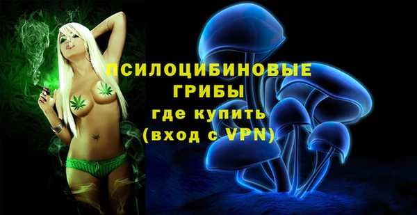 соль курить ск Бронницы