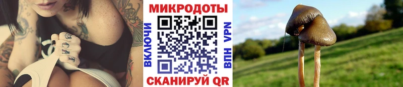магазин продажи   Судак  Псилоцибиновые грибы прущие грибы 